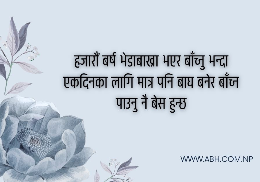 positive life quotes in nepali